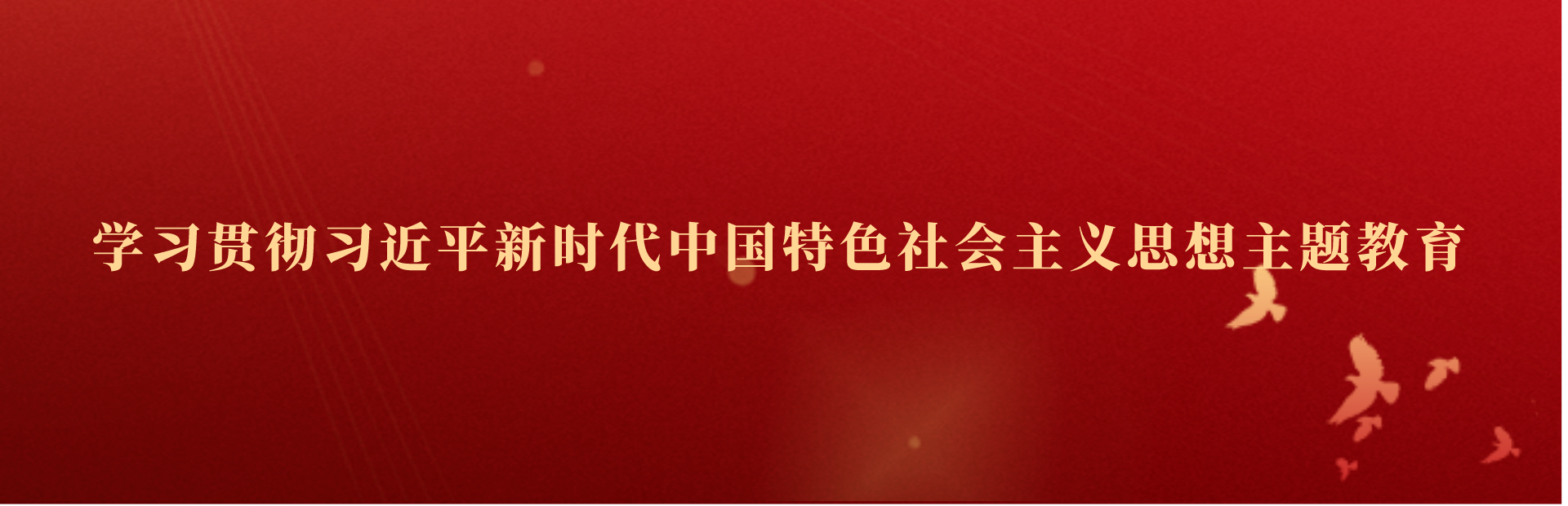 學(xué)習(xí)貫徹習(xí)近平新時(shí)代中國(guó)特色社會(huì)主義思想主題教育